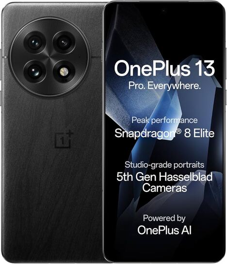 OnePlus 13 (12b RAM 256GB Storage Black)