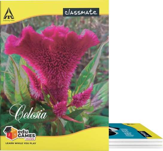 Classmate Notebook Book-size Notebook Ruled 72 Pages (location specific)