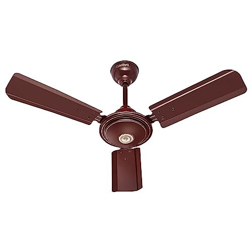 ACTIVA Apsara 900mm Ceiling Fan, 3 Wide Tipped Blades (Brown)