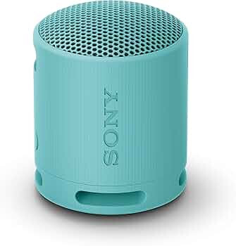 Sony SRS-XB100 Wireless Bluetooth Portable Lightweight Super-Compact Travel Speaker