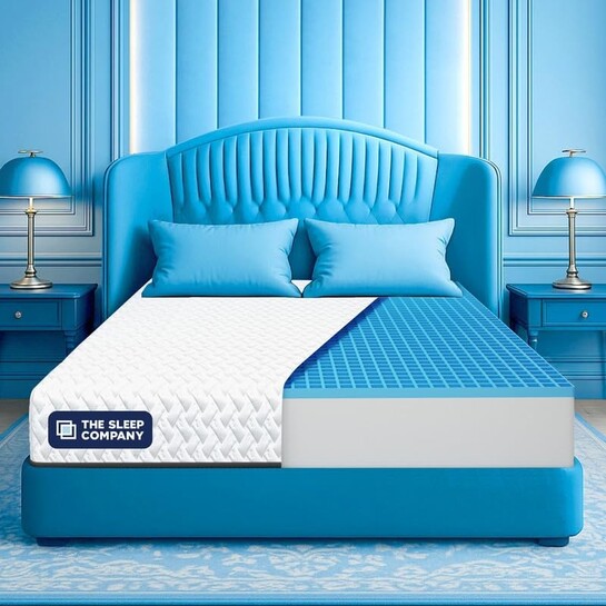 The Sleep Company Orthopedic GRID Mattress 