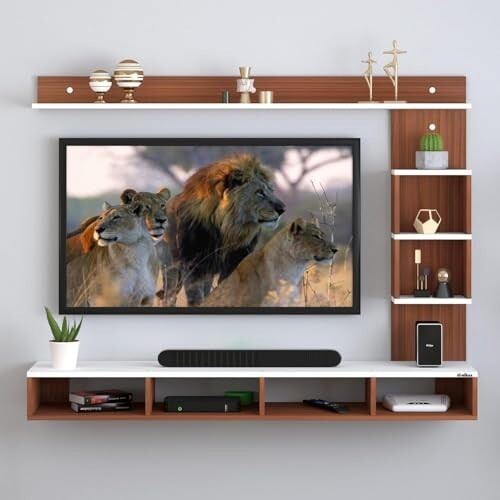 Furniture Café Wall Mounted TV Unit with Storage