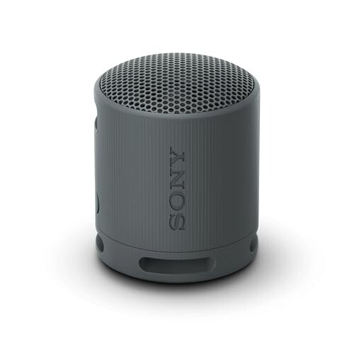 Sony SRS-XB100 Wireless Bluetooth Portable Lightweight Super-Compact Travel Speaker