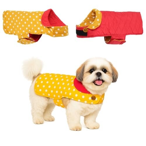 Sage Square Dual-Sided Polka Dot Dog Jacket