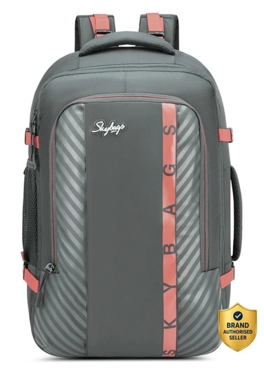 SKYBAGS 46.1 L Laptop Backpack WANDERER 40L WEEKENDER (E) BLACK (Black)
