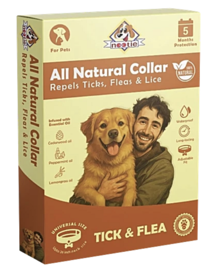 Bigbasket Nootie Pet Food and Accessories upto 90% off [location specific]
