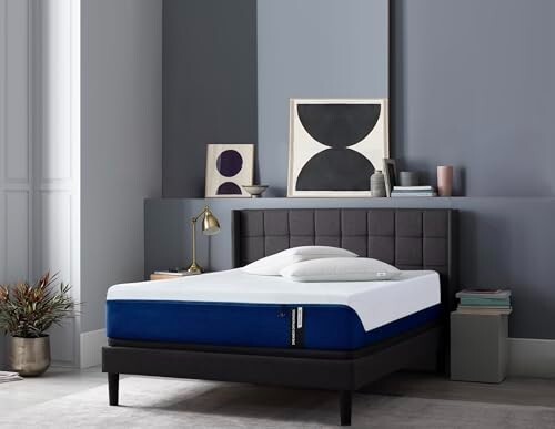 Springtek Dreamer | 10 Years Warranty | Mattress King Size 78x72 | 8 Inches 3 Layered