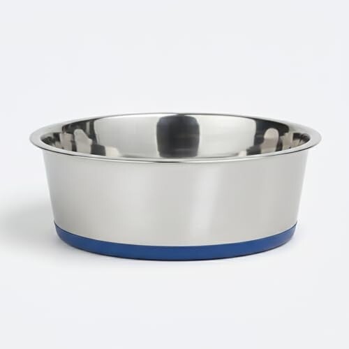 Ezra Classic Stainless Steel Dog Bowl