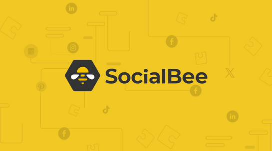 Socialbee - Bootstrap plan $24 per month (Standard plan)