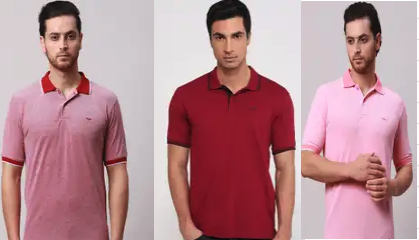  Park Avenue  SPYKAR Raymond Tees up to 70 % off & extra 10 % off