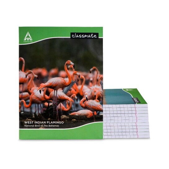 Classmate Notebook Regular Notebook Single Line 172 Pages (Multic...more