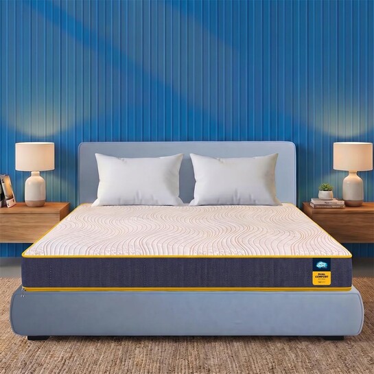 Centuary Mattresses Sleepables | 5-Inch Queen Size (75x60x5)