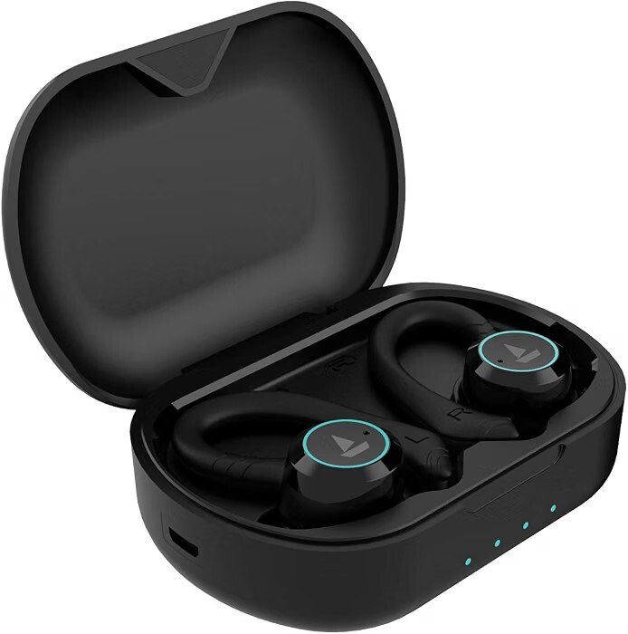 boAt Airdopes 421 Truly Wireless Bluetooth in Ear Earbuds with Mic (Active Black)