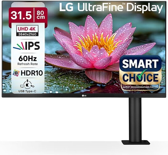 LG 32UN880K Smartchoice 80cm (31.5 Inch) Ultrafine UHD(3840 x 2160) IPS Monitor with Ergo Stand