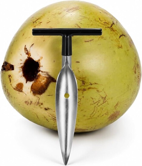 Stainless Steel Coconut Opener Tool (MOQ-2)