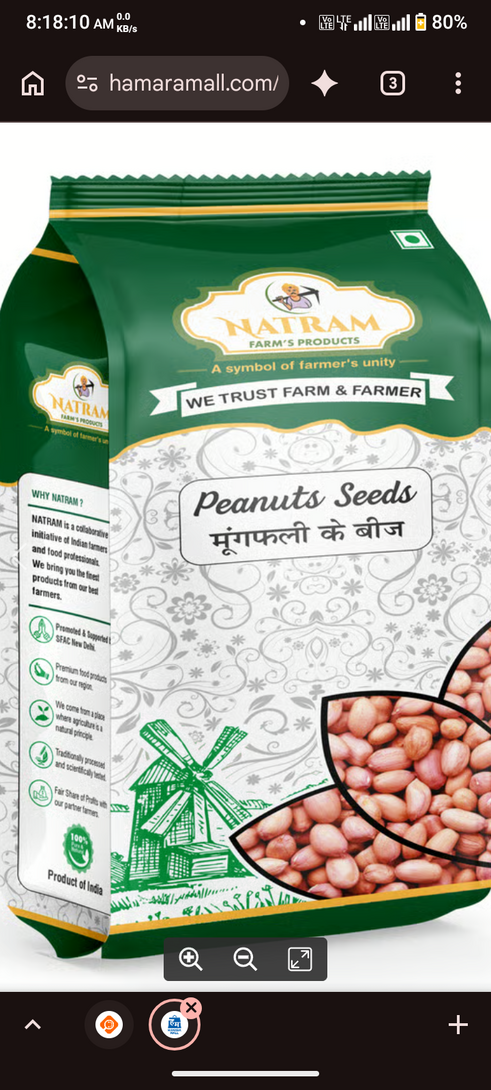 NATRAM Peanut 500gm @70