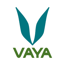 Vaya