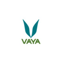 Vaya Coupons, Promo Code & Offers