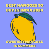 Best Mangoes to Buy in India 2024 (Sweetest Mangoes in Summers)