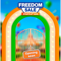 Flipkart Independence Day Sale 2025 Dates! Freedom Sale Offers