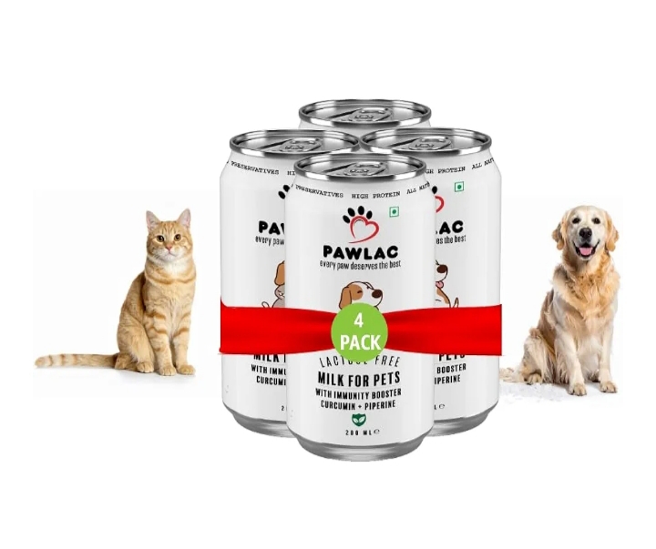 Dogs Drink Lactose Free Milk For Dogs Dog Friendly Dogs Drink Milk