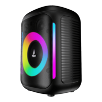 boAt PartyPal 30 w/ 25W Powerful bOAt Signature Sound, RGB LED's (Premium Black)