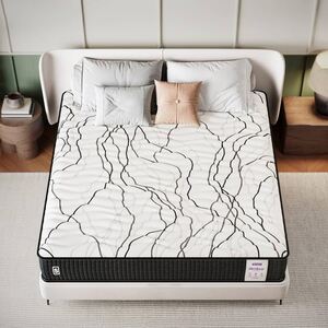 Springwel BioSleep 100% Natural Latex 5 Inch Bed Mattress