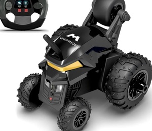 Mirana Warrior 360 Degree Rotating Stunt RC Car Toy for Kids