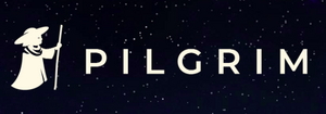 Discoverpilgrim - Buy 1 Get 1 FREE + FREE Jute Bag On Orders Above 699 + Free Lip, Cheek, Eye Tint