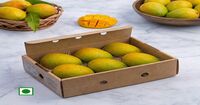 Alphonso Mango (Hapus) (Kairi) 3pcs @129
