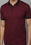 Men Maroon colour polo neck t shirt from allensolly