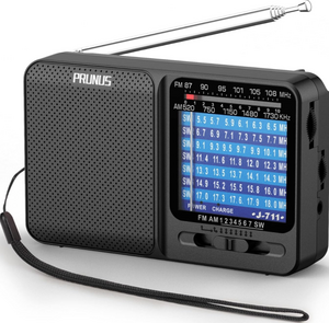 PRUNUS J-711 Portable SW7(5.5-18 MHz)/AM, FM Battery
