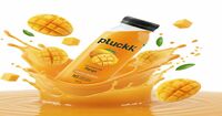 70% off || Pluckk Cold Pressed Extracted 100% Mango Juice (No Preservatives)|| Location specific