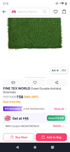 antiskid grass design doormat 40*60cm