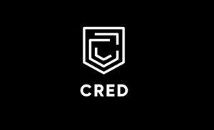 Cred x Bigbasket : Flat 160 Rs Off On 249 Order
