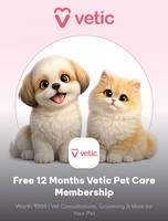 Times Prime: Free 12-Month Vetic Pet Care Membership | Worth ₹999