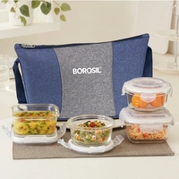 BOROSIL Alora Daisy Borosilicate Glass Lunchbox, 4pc Set (320ml x 2 + 240ml x 2)(1120 ml)