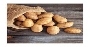 (560010 bengaluru) Organic Certified Potato (Aloo Gadde) 1 kg