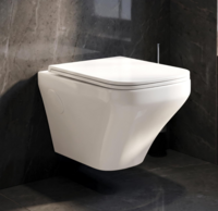 WASSMIST Commodes Toilet Wall Hung, P Trap, Rimless System with Soft Close Seat